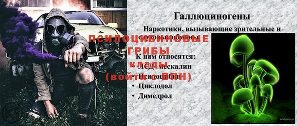 герыч Арсеньев