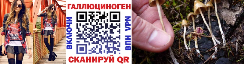 Псилоцибиновые грибы GOLDEN TEACHER Калининск